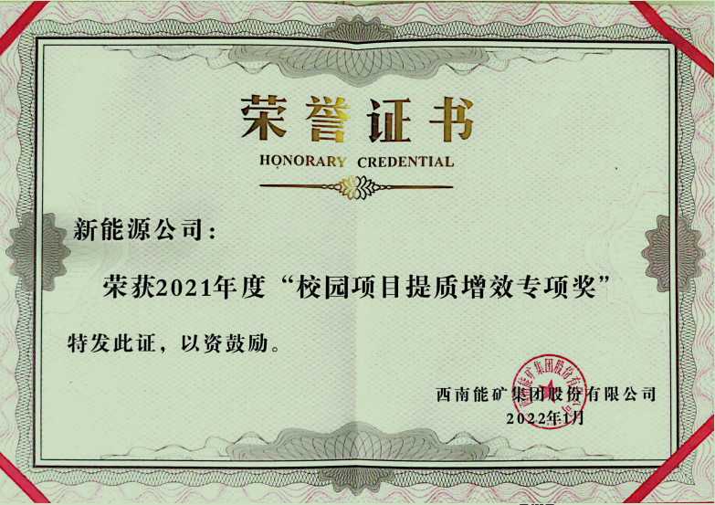 校園項(xiàng)目提質(zhì)增效專項(xiàng)獎(jiǎng)狀.png