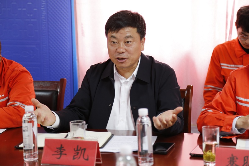 西能集團(tuán)黨委委員、副總經(jīng)理李凱.JPG